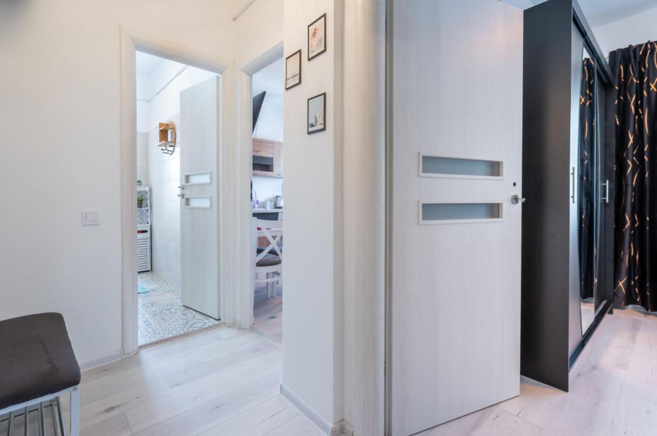 Spacious And Cozy Apartment In Central ブカレスト エクステリア 写真